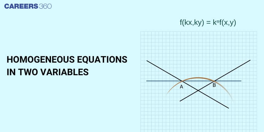 Homogeneous Equations in Two Variables